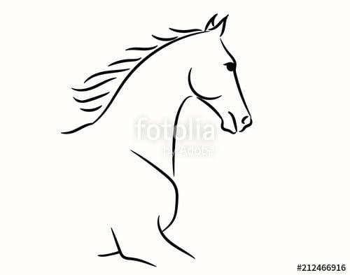 Stallion Head Logo - Horse head graphic logo template, vector illustration on white