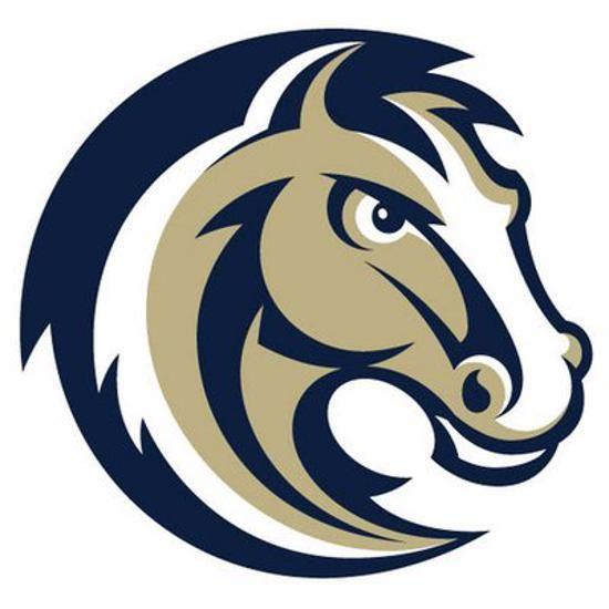 Stallion Head Logo - Boys Lacrosse