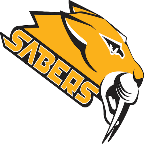 Saber Logo - The New Community School