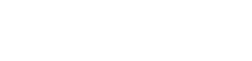 Take Flight Logo - TakeFlight Interactive