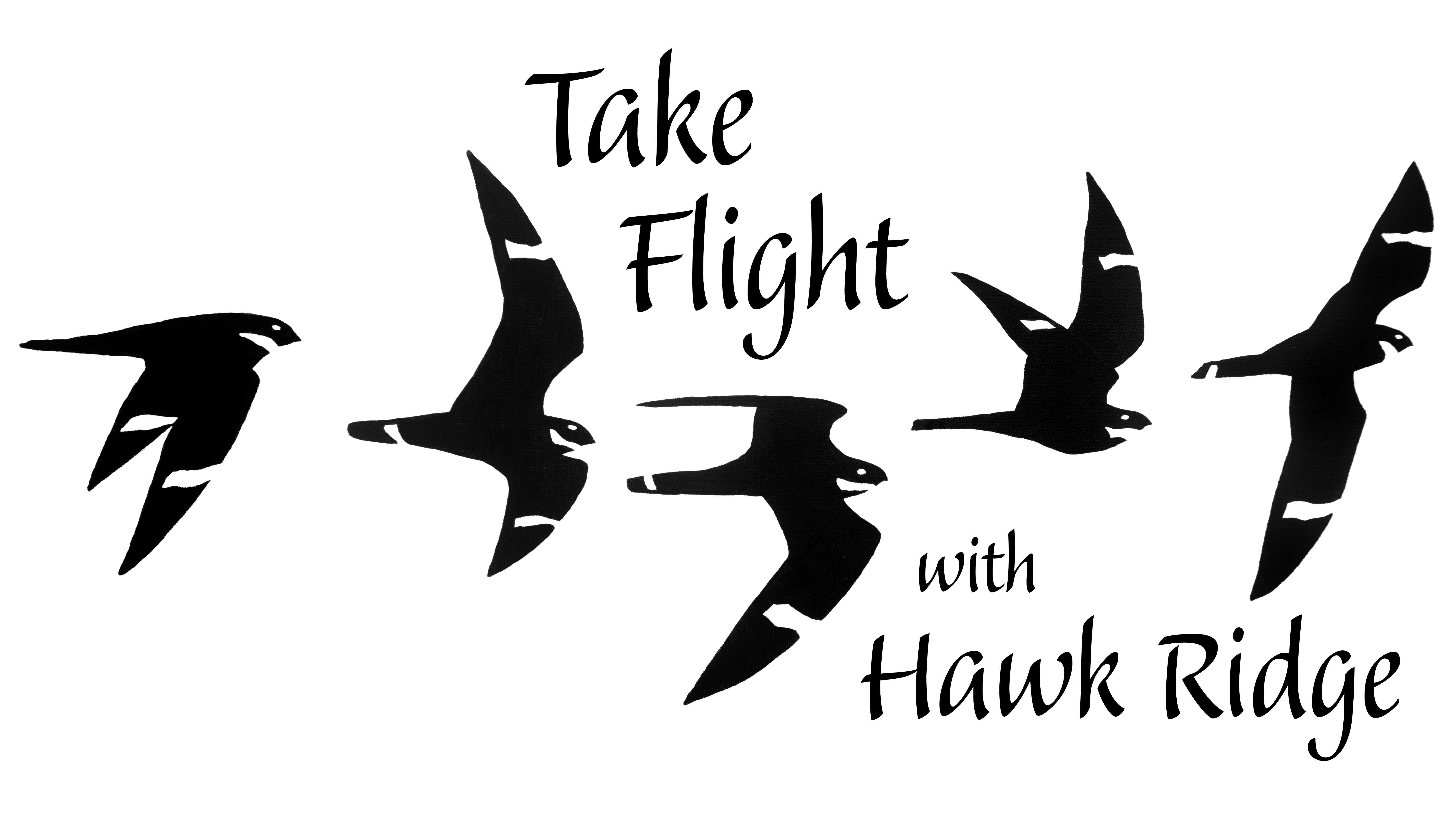 Take Flight Logo - Take Flight with Hawk Ridge