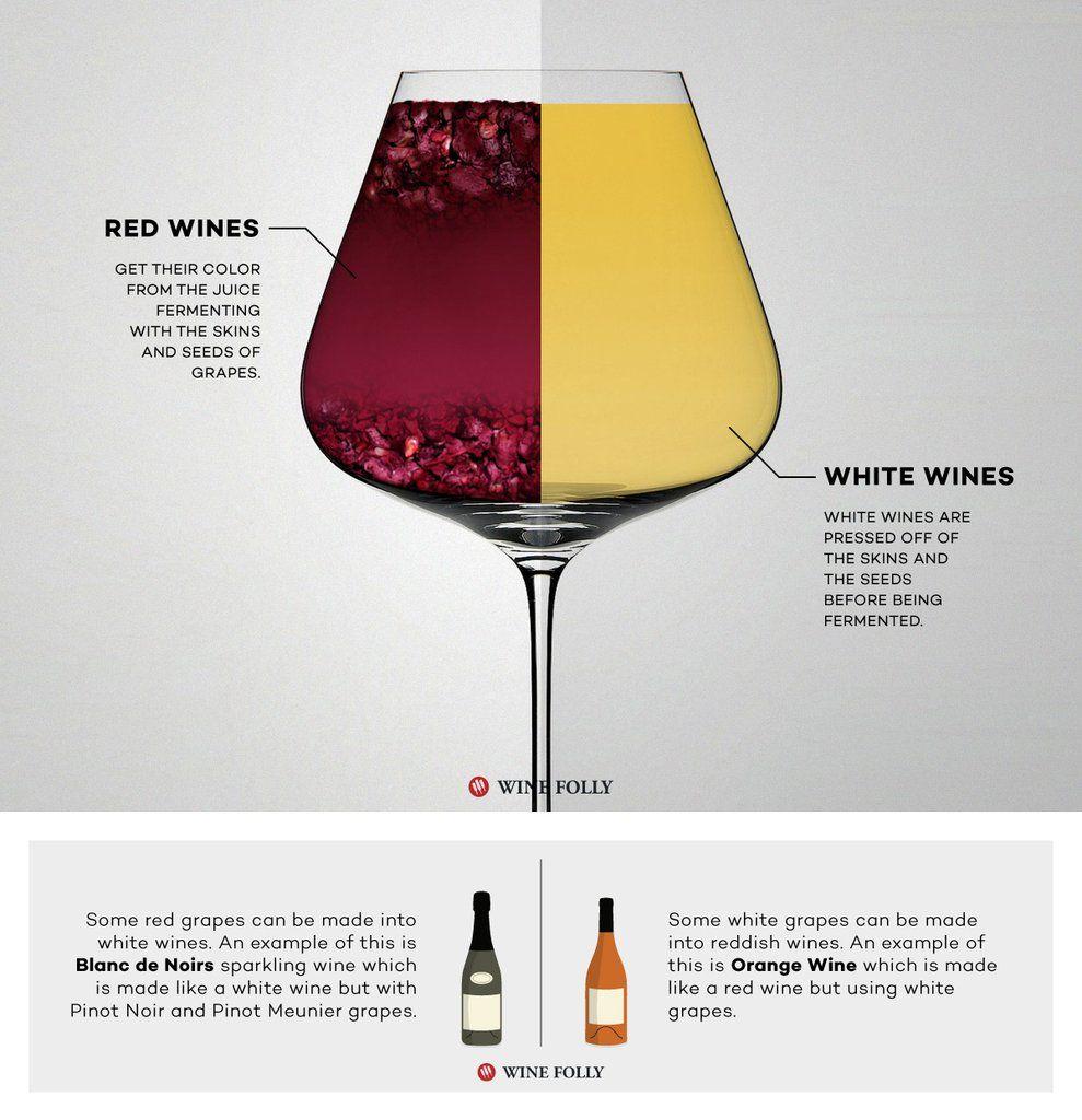 Red White and vs Logo - Red Wine vs White Wine: The Real Differences | UPW – Urban Press Winery