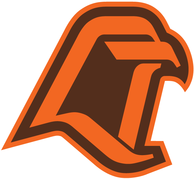 Bowling Green Logo - Bowling Green Falcons Alternate Logo Division I (a C) (NCAA