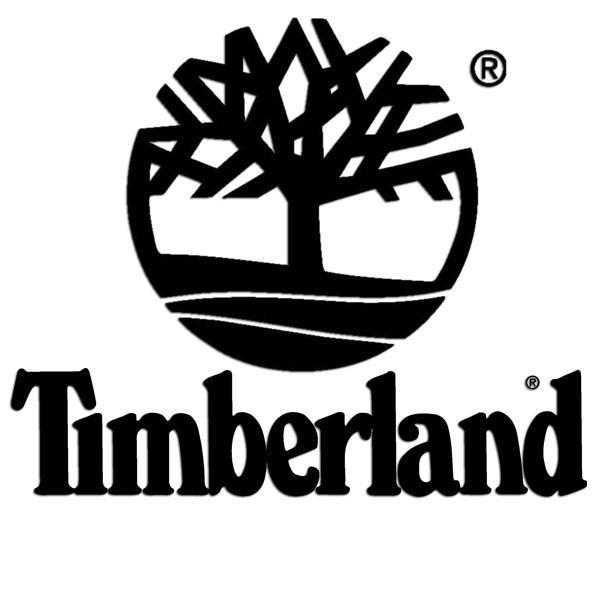 Timberland Boots Logo - Timberland Men's Britton Hill Wingtip Boots