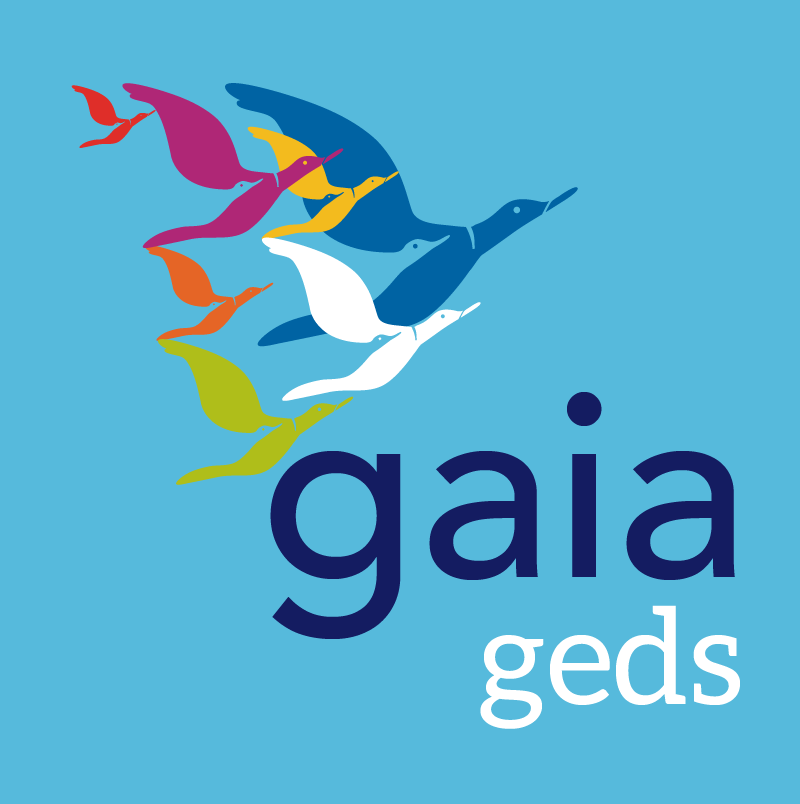 Google Square Logo - GE GEDS square logo | GaiaEducation.org