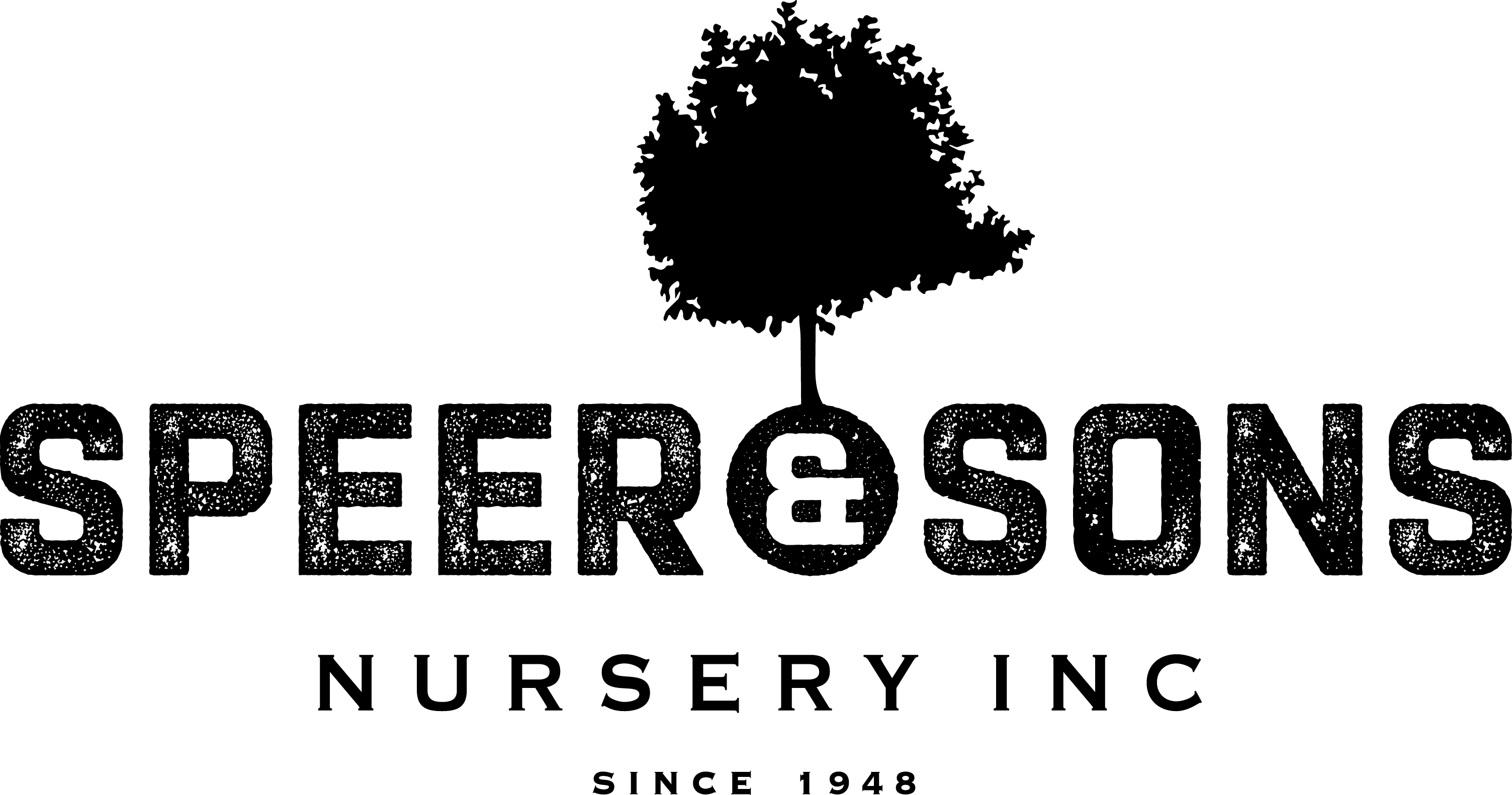 Speer Logo - speer-sons-logo-bw-2016 - Meyer Sign Co. of Oregon