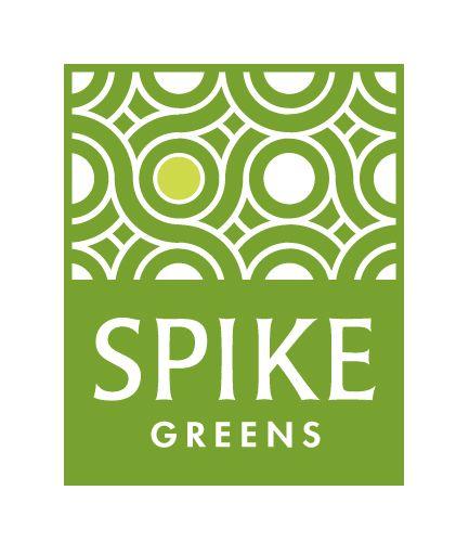 Cool Spike Logo - Floral Shop Logo • A Day