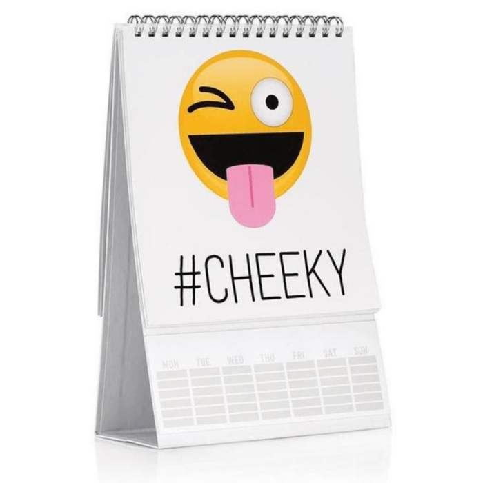 Calender Emoji Logo - Emojinal Mood Calendar - Emoji Flip Book – Funky Gifts NZ