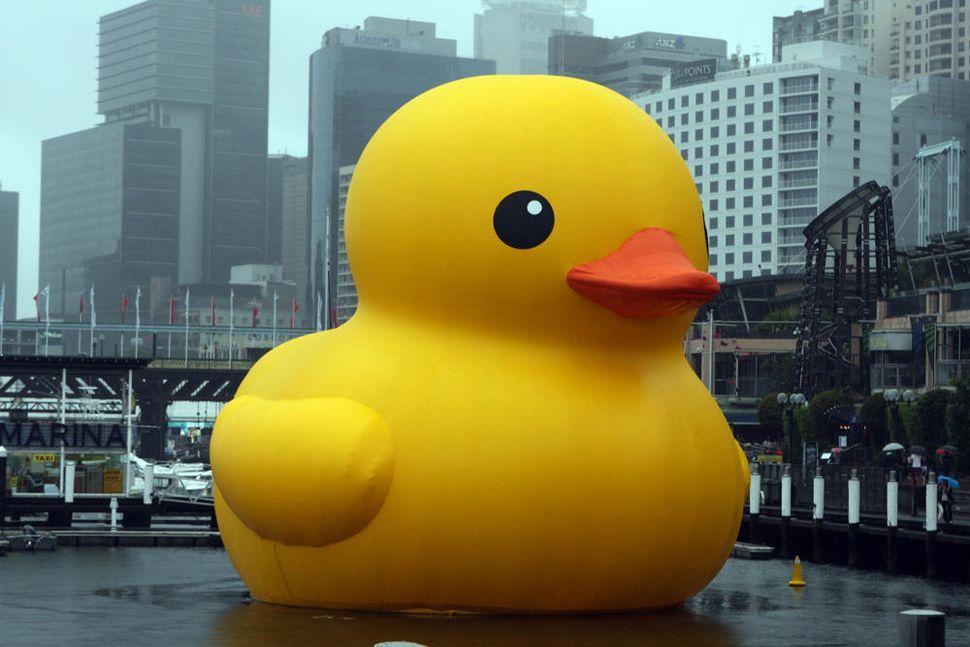 DuckDuckGo Yellow Logo - Google owns Duck.com, but it'll give rival DuckDuckGo a shoutout ...