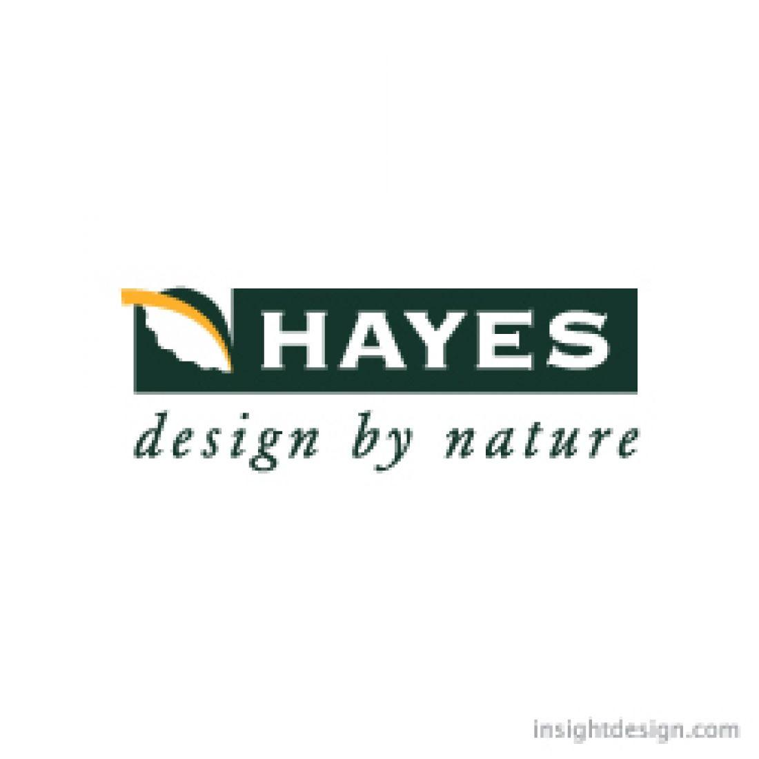 XL Company Logo - Hayes Company logo design