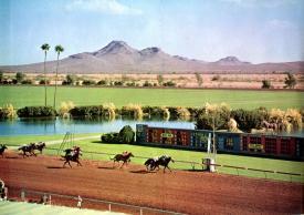 Turf Paradise Logo - Turf Paradise | Thoroughbred OwnerView – Thoroughbred Owners ...