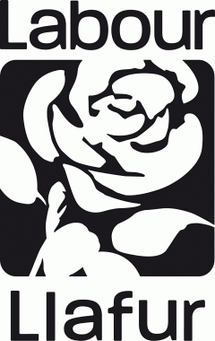Party Black and White Logo - View registration - The Electoral Commission