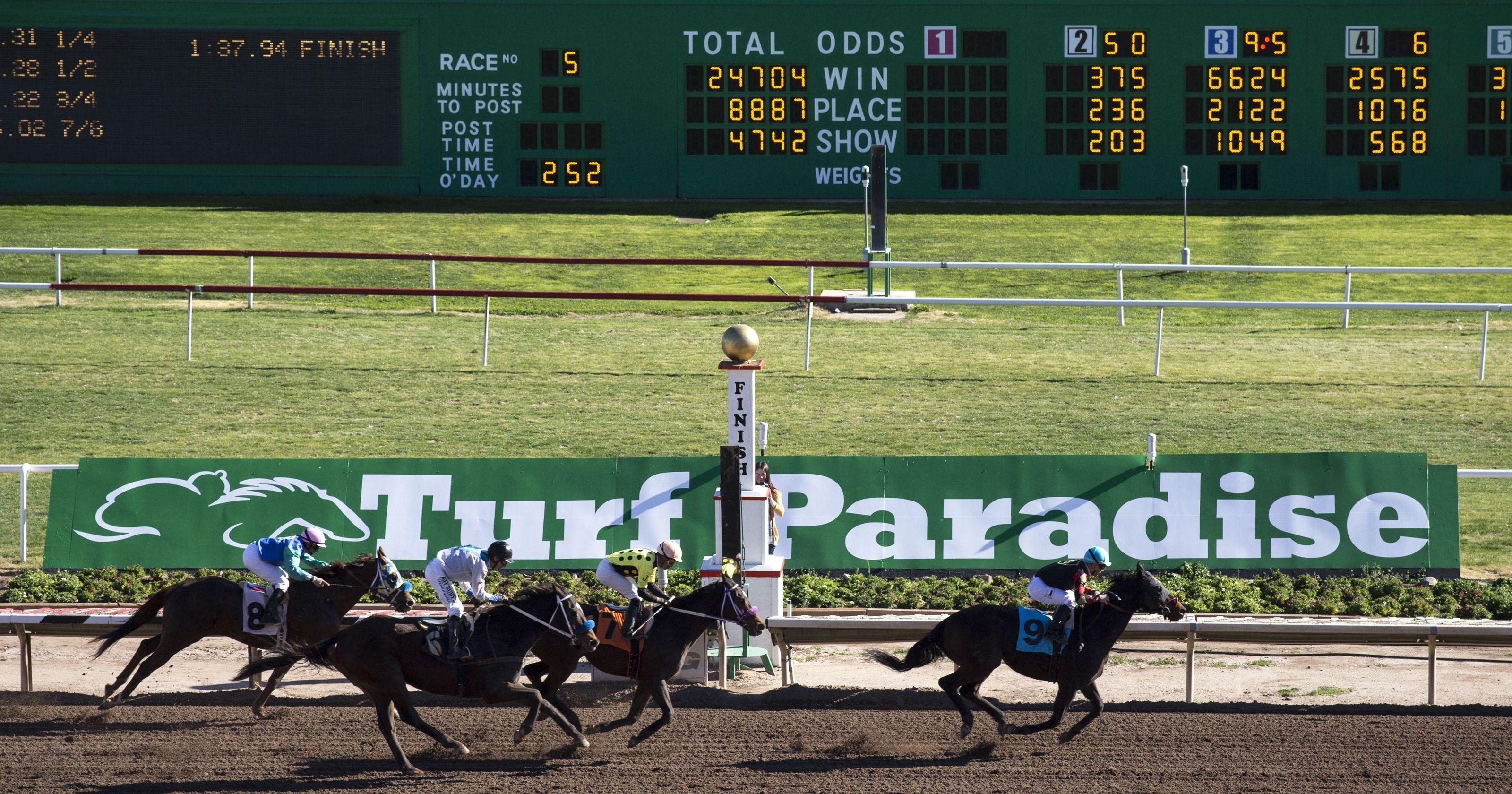 Turf Paradise Logo - Turf Paradise figure accuses state of corruption in license denial