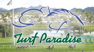 Turf Paradise Logo - Wolf's Horse Racing Top Selections & Plays: TURF PARADISE SELECTIONS