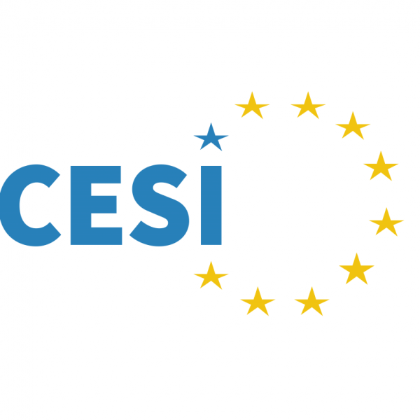Social Committee Logo - CESI | European Economic and Social Committee (EESC)