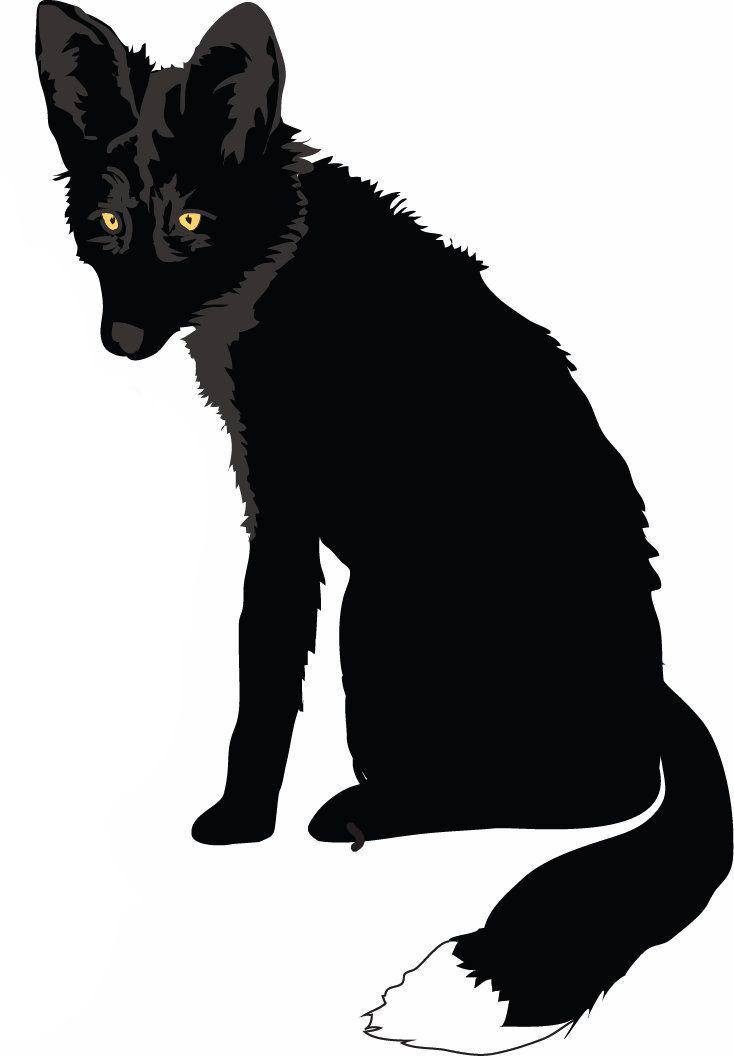 Black Fox Logo - Why the Black Fox? - Black Fox Brand