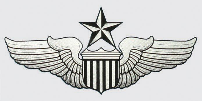 Air Force Wings Logo - Air Force Decals & Bumper Stickers : USAF Senior Pilot Wings Decal