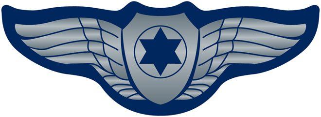 Air Force Wings Logo - A&J Mugs - Decals - OTHER