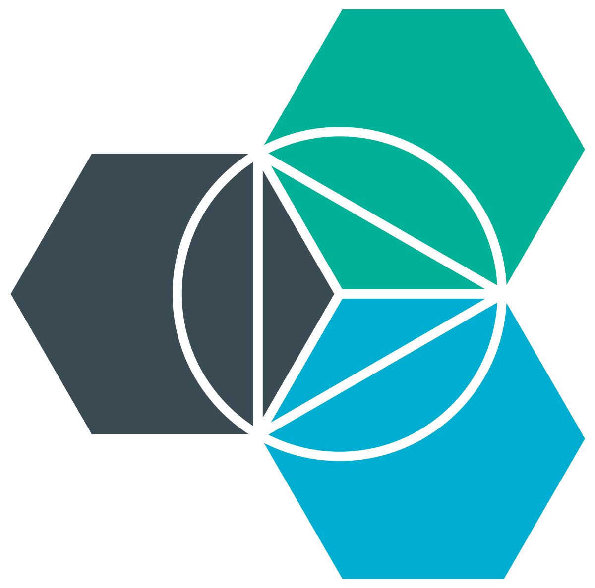 IBM Cloud Software Logo - Bluemix