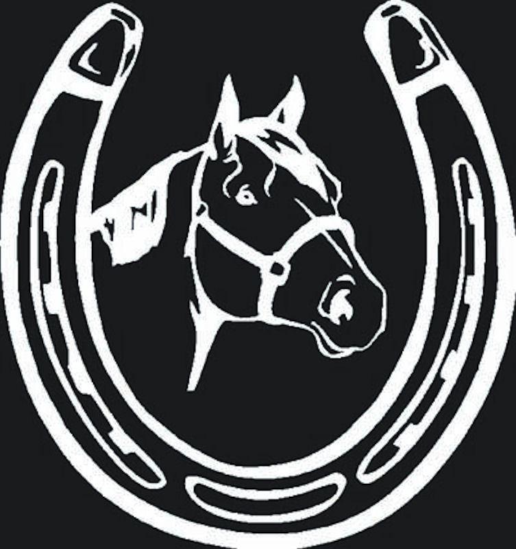 Horse Head in Horseshoe Logo - Horse Head and Horse Shoe Decal - Outdoor Safe
