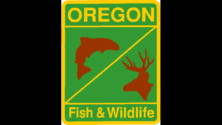 Oregon Department of Fish and Wildlife Logo - Free family fishing event coming up at St. Louis Ponds Saturday
