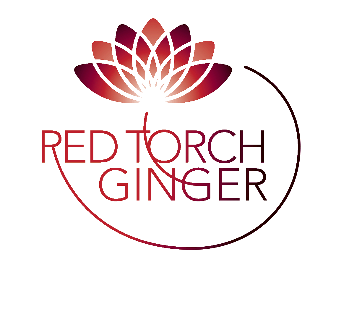 Red Torch Logo - Red Torch Ginger Maynooth - Book restaurants online with ResDiary