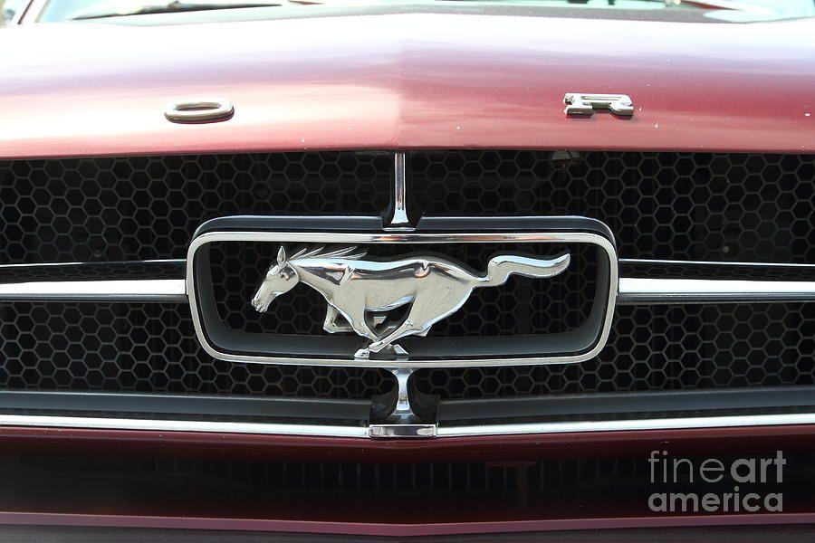 Old Ford Mustang Logo - Free Ford Mustang Symbol, Download Free Clip Art, Free Clip Art