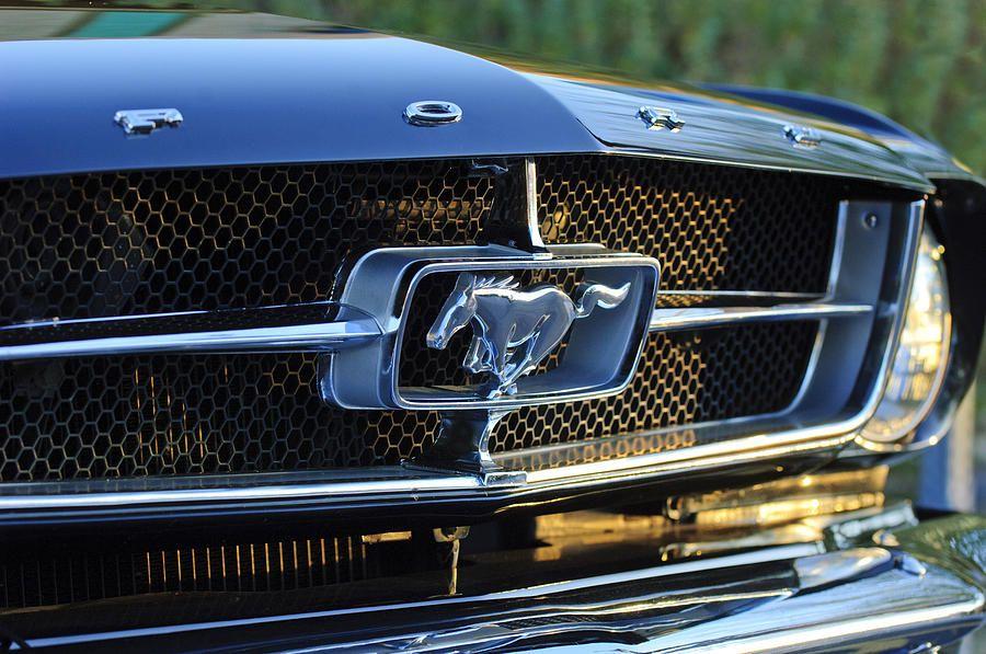 Old Ford Mustang Logo - 1965 Shelby Prototype Ford Mustang Grille Emblem Photograph by ...