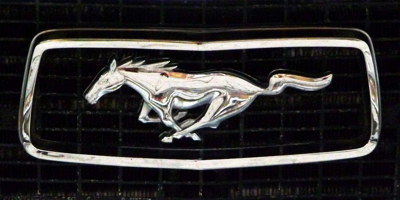 Old Ford Mustang Logo - Man Buys Back His Old Mustang By Chance