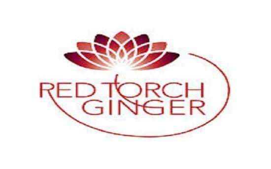 Red Torch Logo - Red Torch Ginger/ 15 Andrew Street, Dublin Co. Dublin
