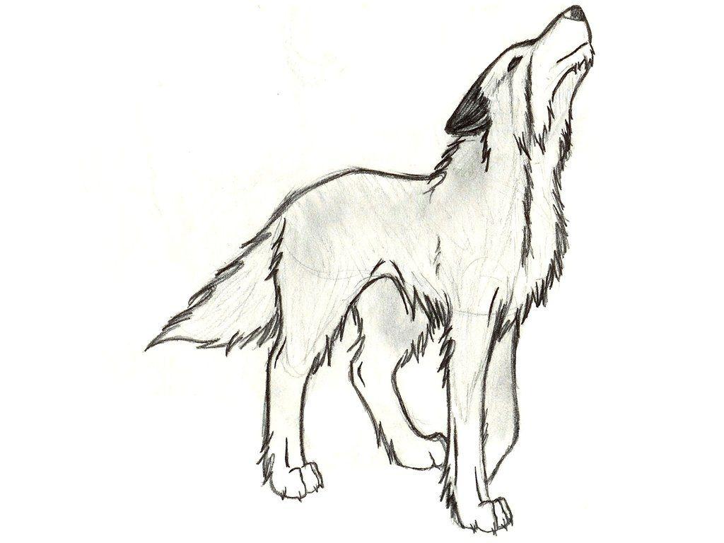 Black and White Drawing of a Wolf Logo - black and white drawings | another black and white wolf by FeNnEc ...