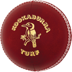 Red Hands On Ball Logo - Red Leather Cricket Ball From India, With Hand Stitched