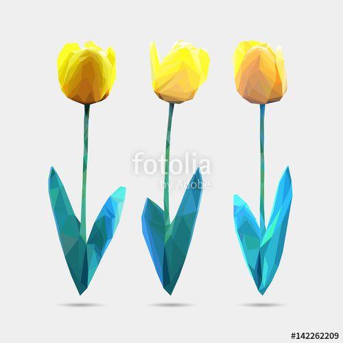 Style Flower Logo - Vector set of low poly style flowers tulip. Polygon flower vector