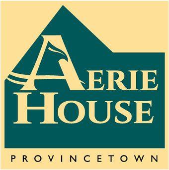 Blue Green Yellow Triangle Logo - Night Life - Aerie House