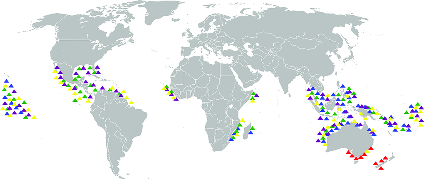Blue Green Yellow Triangle Logo - Biogeographic distribution of Recent Diodon species. D. eydouxii ...