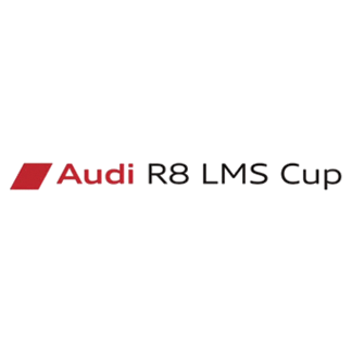 Audi R8 LMS Logo - ドライバー »