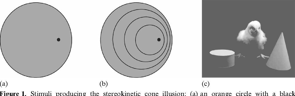 Spiral Dot Orange Circle Logo - Figure 1 from Domestic chicks perceive stereokinetic illusions