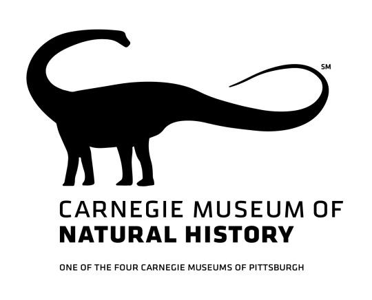 Small History Logo - Visitors Develop New Logo - Carnegie Museum of Natural History