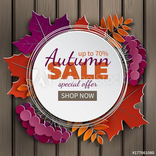 Cut Up Colorful Circle Logo - Autumn sale banner, paper frame, colorful tree leaf (maple, rowan ...