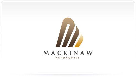 Professional Business Logo - Professional Logo Design - Mackinaw