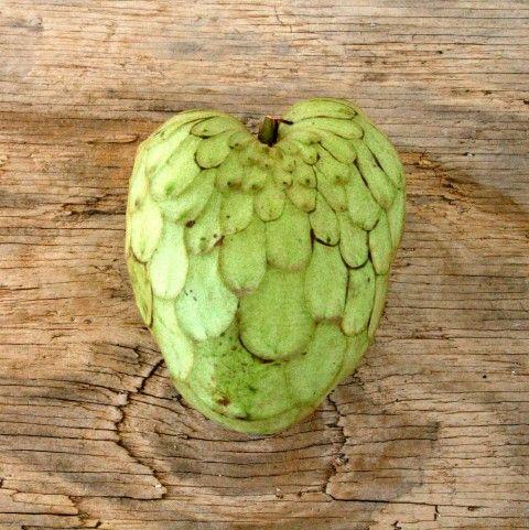 Fruit Heart Shaped Logo - Heart Shaped Cherimoya. Eat Cherimoya Raw As A Snack Or Dessert