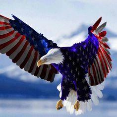 Lady Red White and Blue Eagles Logo - 379 Best Stars and Stripes images | 4th of july party, Birthdays ...