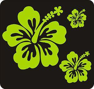 Lime Green Windows Logo - 40 LIME GREEN HIBISCUS FLOWER STICKERS CAR WALL BEDROOM WINDOWS ...