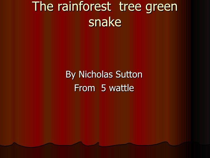 Green Tree with Red S Logo - Nick s the green tree snake 2