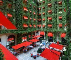 Red and Green Hotels Logo - 18 best Red and Green images on Pinterest | Green, Red and Rouge