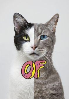 Odd Future Cat Logo - 34 Best OFWGKTA images | Odd future, Backgrounds, Future logo