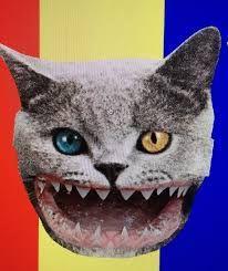 Odd Future Cat Logo - odd future shark cat TUMBLR - Google Search | CRAY KITTERZ!! | Cats ...