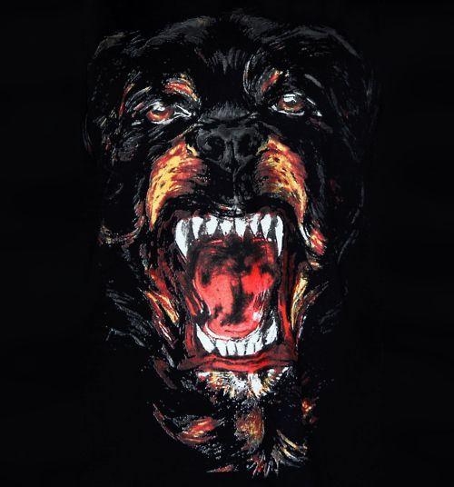 Givenchy Rottweiler Logo - Givenchy Rottweiler. Tattoo inspirations. iPhone wallpaper