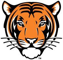 Orange and Black Tiger Logo - Catherine Peters Princeton University Environmental Geochemistry People