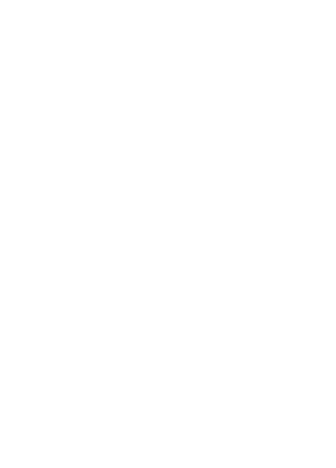 Lakai Logo - Lakai Anchor